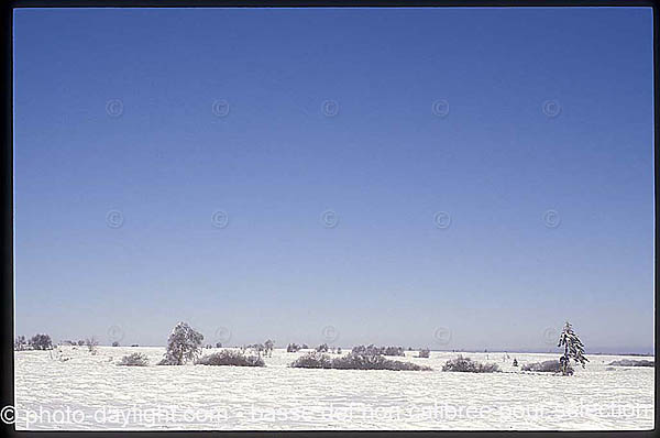 les Hautes Fagnes